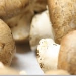 jan5mushroom