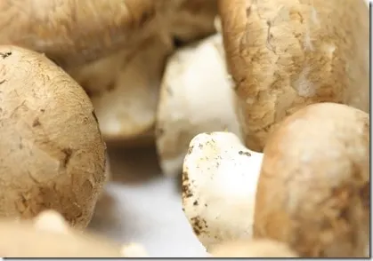 jan5mushroom
