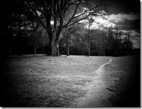 bw trailhead