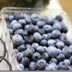 berries berries