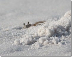 IMG_3355
