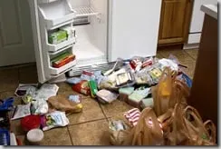 fridge