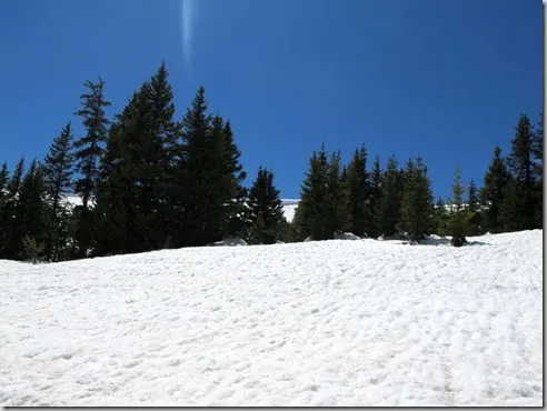 cottonwood9