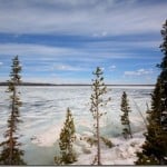 icelake