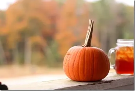 pumpkin