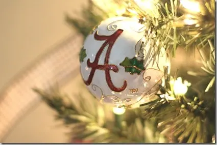 bama2