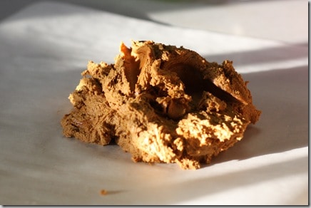 ginger2