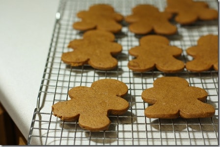 ginger7