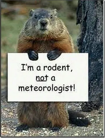 photo(14)
