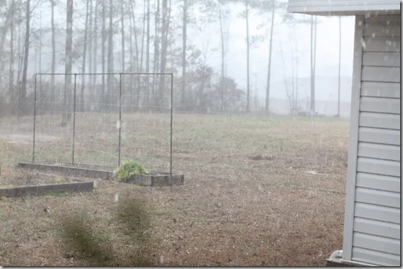 rain