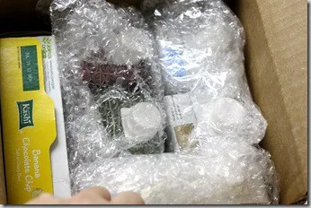 kashibox