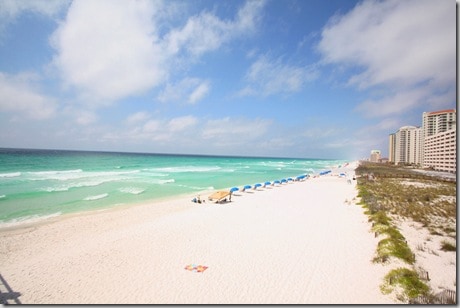navarre