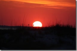 sun3