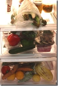 fridge2