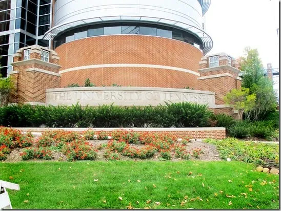 tngame