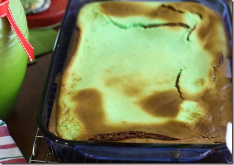 mintbrownie7