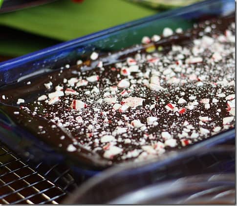 mintbrownie8