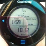 garmin