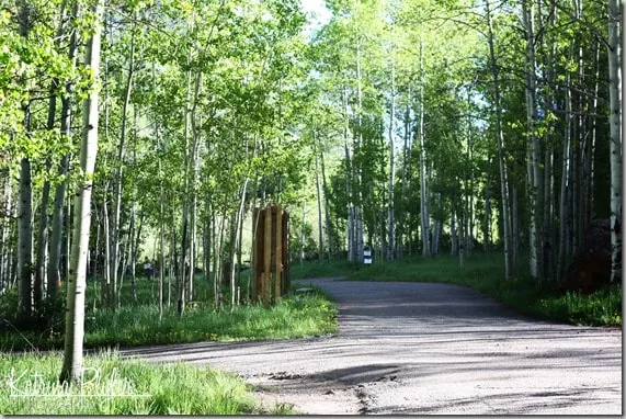 ~camping4