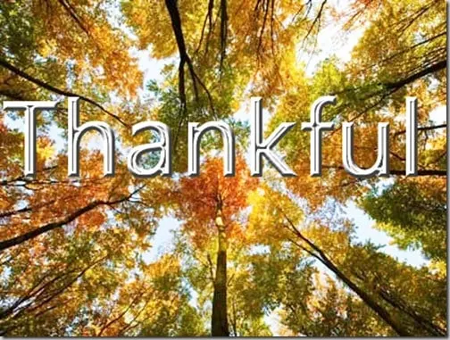 thankful