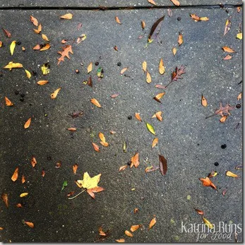 november leaves