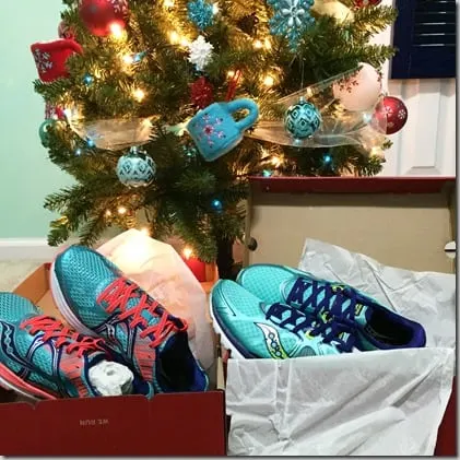 2015-12-25 16.23.52-1