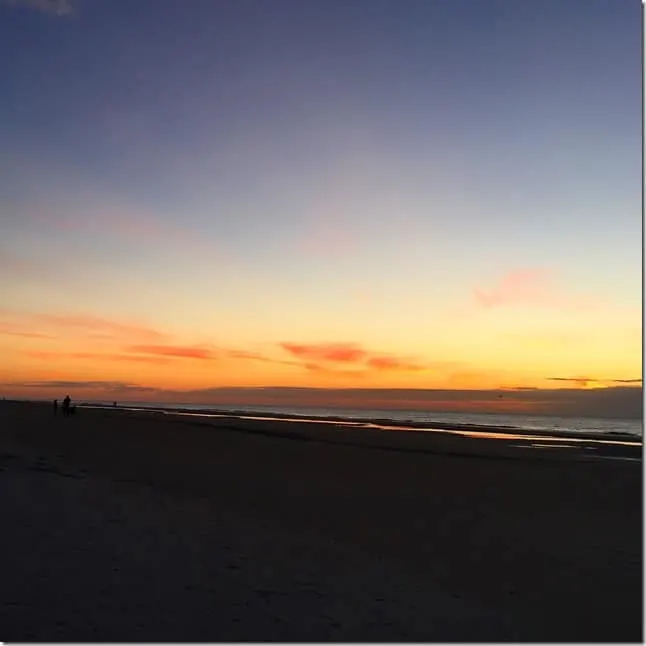 savannah sunrise