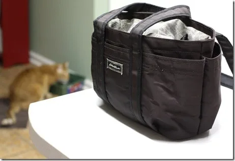 lunchbag
