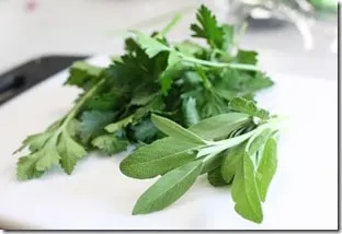 herbs