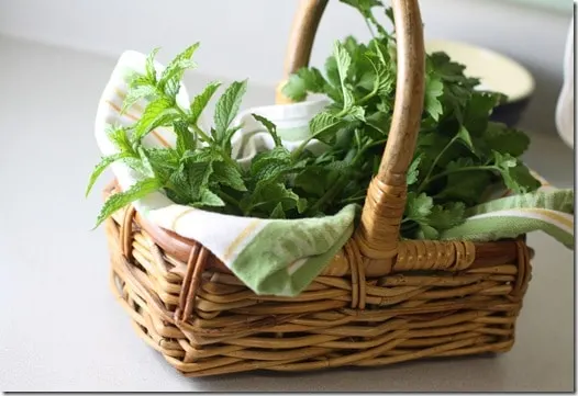 herbs