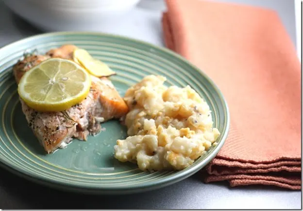 salmon