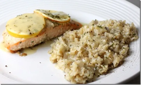 salmon