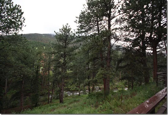 estes1