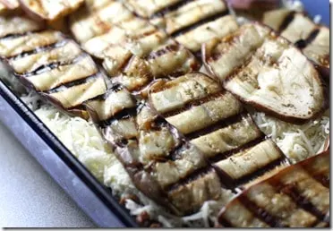 lasagna5