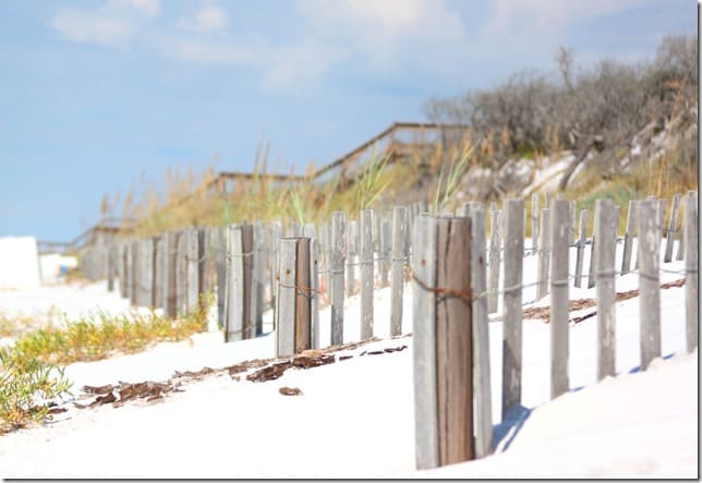destin7