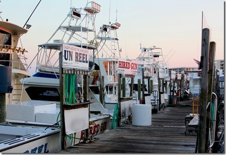 harbor2