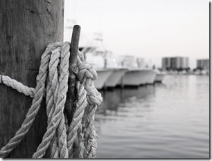 harbor3
