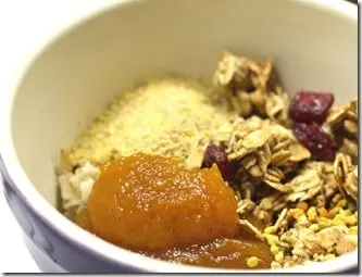 oatmeal2