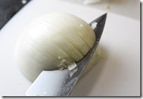 onion3