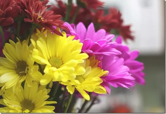 flowers
