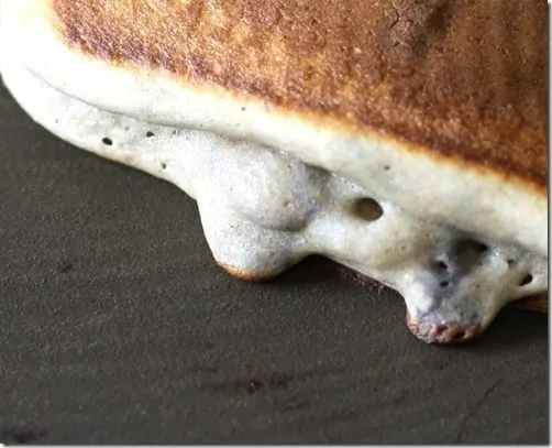 pan5