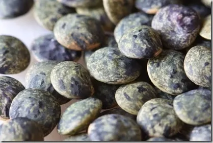lentils2
