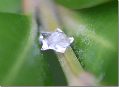 sleet3