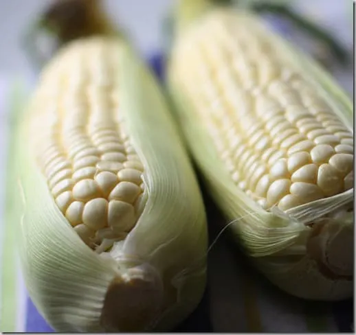 corn