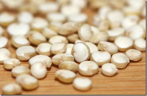 quinoa