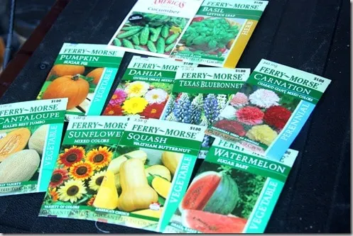 seeds