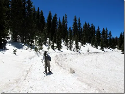 alta9