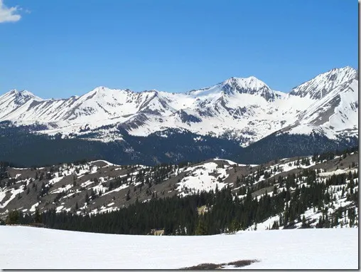 cottonwood5