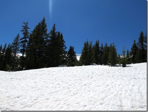 cottonwood9