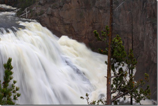 gibbon falls2